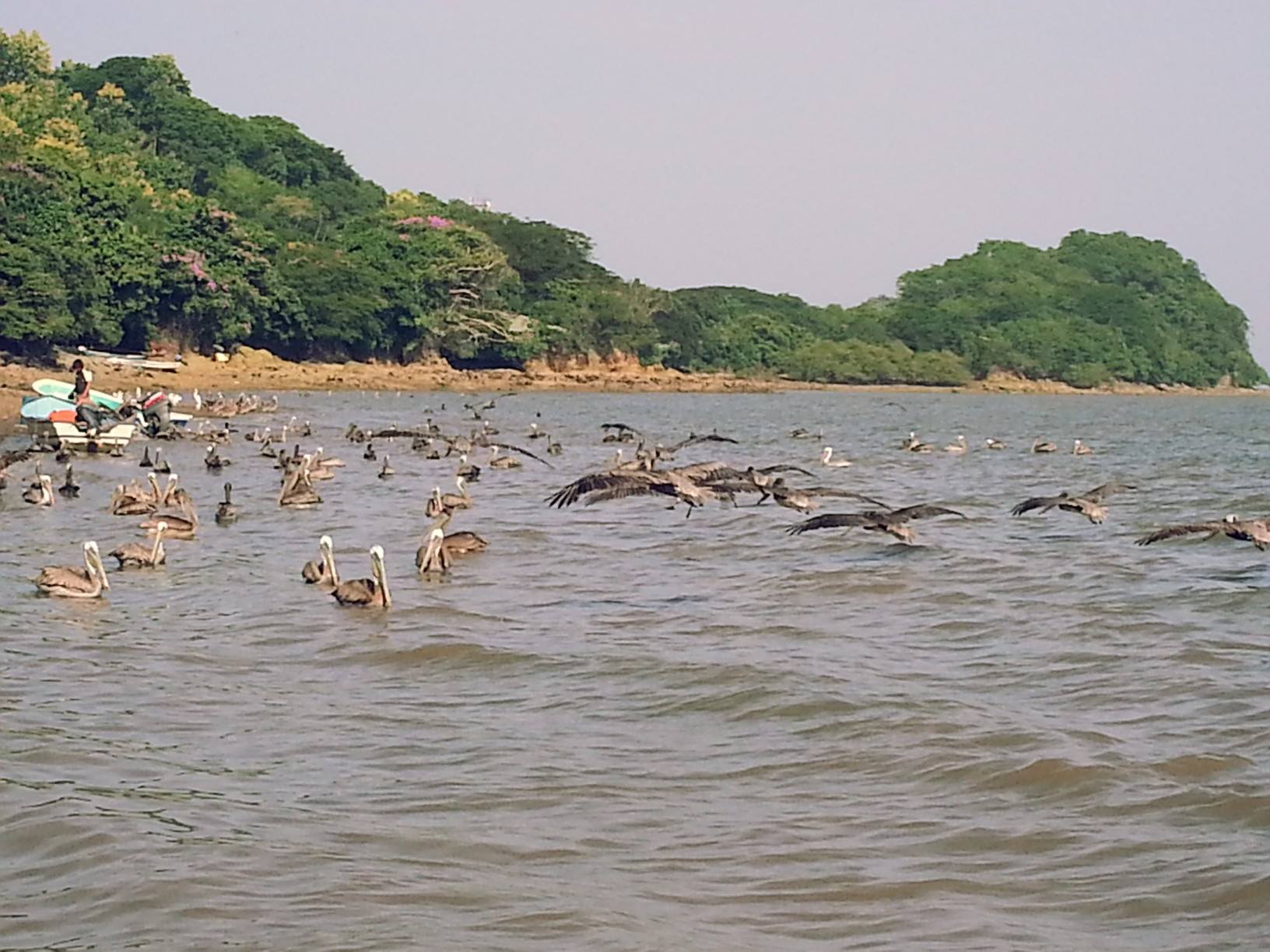Isla Chira 109