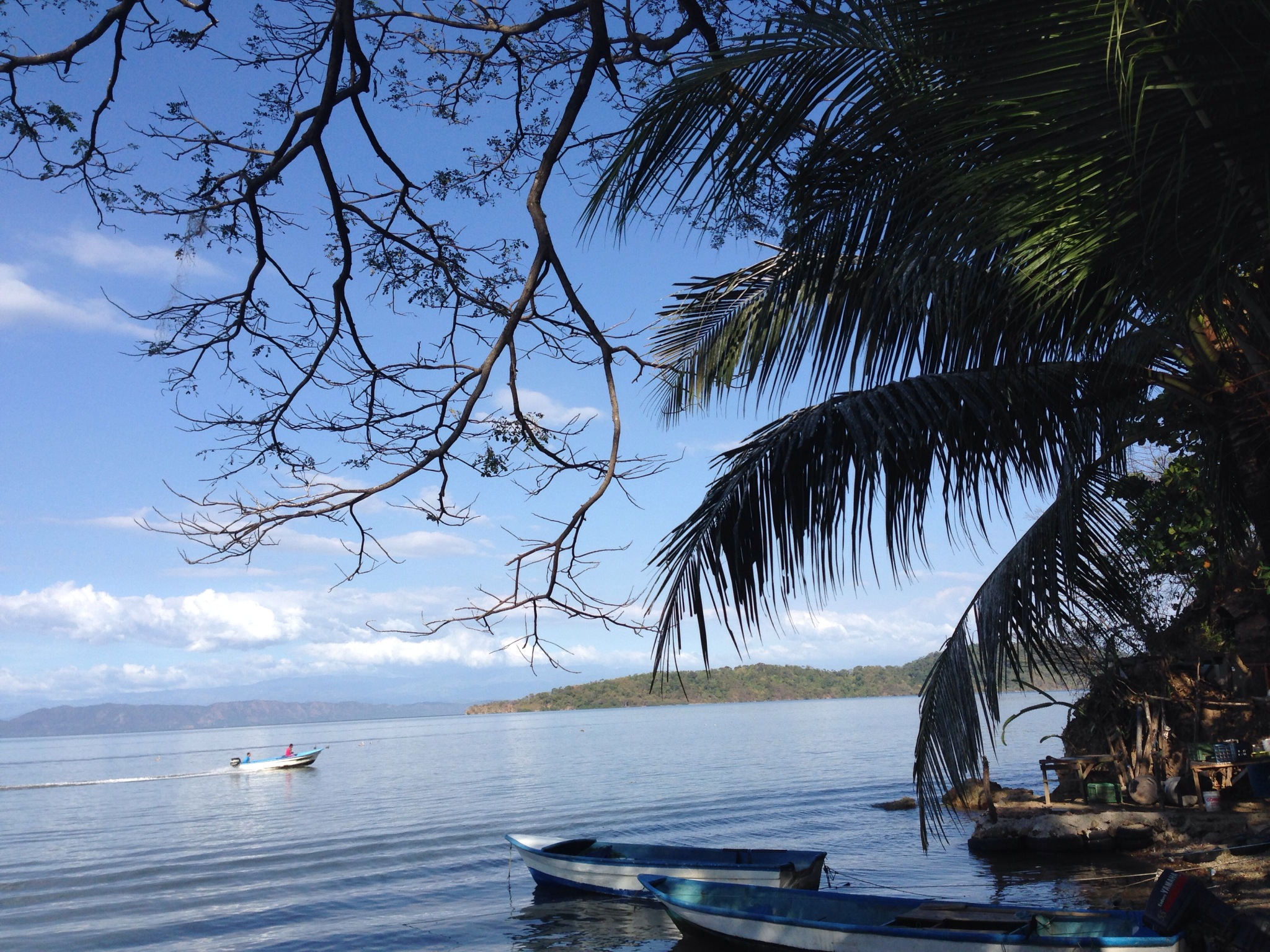 Isla Venado74 o
